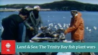 Land amp Sea The fish plant wars of Trinity Bay  Full Episode [upl. by Arremat]