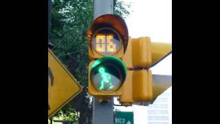 Pedestrian Crossing Signal in Mexico City [upl. by Norraf]