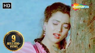 Aawaz Hamari Isi Vadi Mein Part 2  Shoorveer 1988 Mandakini Kavita Krishnamurthy  Hindi Geet [upl. by Arabel]