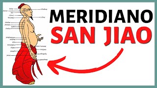 🔥 Meridiano SAN JIAO o TRIPLE RECALENTADOR 🔥 Recorrido Función y MÁS ☯ 12 Meridianos de Acupuntura☯ [upl. by Azzil578]