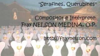 Serafines Querubines  Fray Nelson Medina [upl. by Ondrea]