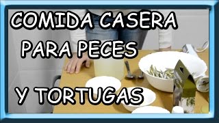 como hacer comida casera para peces y tortugas [upl. by Eivla]