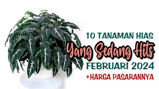 10 Tanaman Hias Yang Sedang HITS di Bulan Februari 2024 [upl. by Iramohs]