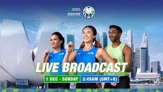 2024 Standard Chartered Singapore Marathon  Live Broadcast [upl. by Nayrb]