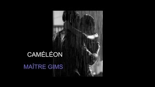 CAMÉLÉON MAÎTRE GIMS LYRICS AND SUB ESPAÑOL [upl. by Lacy971]