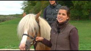 Reiten im Urlaub in Mecklenburg Vorpommern [upl. by Leiad]