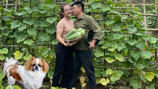 Cook stoveroasted pork with her husband sell papaya at the garden [upl. by Odrarej]