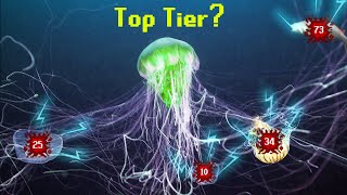 The Jellyfish Tier List [upl. by Aivatnuahs686]