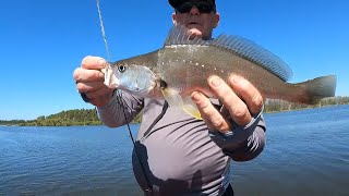 Road Trip To Waynes World Flathead Fishing Forster [upl. by Yv240]