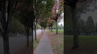 보보링크 공원 Bobolink Park 벤쿠버 캐나다 Vancouver Canada 2024년 10월 13일 [upl. by Annohs]