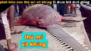 Phát hiện con Thú Mỏ vịt dưới Giếng khủng lồ  review giải trí [upl. by Winou]