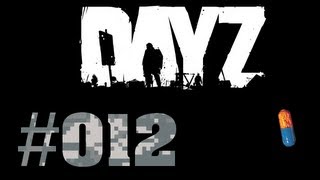 Dayz  12 Wir ernten was wir säen deutsch HD Let´s Play [upl. by Reisfield]