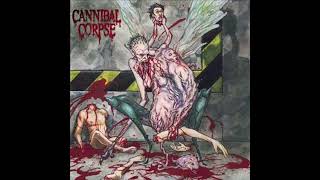 Cannibal Corpse  Unleashing the Bloodthirsty instrumental  karaoke track [upl. by Eirffej638]