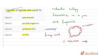 Lyase enzymes are used to [upl. by Neeloc]