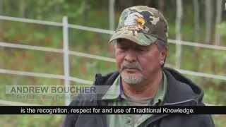 WBEAFort McKay Berry Focus Group Video  English Subtitles [upl. by Anawek869]