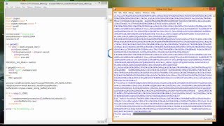 Python read prozess memory [upl. by Leupold]