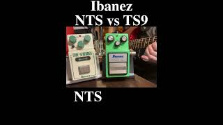 Ibanez TS9 vs NTS NuTubeScreamer ibanez guitarpedals guitar fender [upl. by Amrac786]