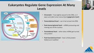 BIOL201 Ch161  Gene Regulation Overview [upl. by Eisle]