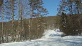 Beehunter Trail Allegany State Park by Paul Crawford [upl. by Itirahc]