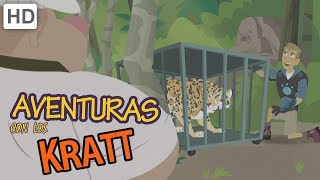 Aventuras con los Kratt  Detener a Esos Villanos ¡15 Minutos [upl. by Berke]