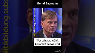 Baumann AfD Wer CDU wählt bekommt Schwarzrot [upl. by Rodolph]