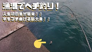 漁港でヘチ釣り！ 人生初の魚が襲来！！ [upl. by Aittam]