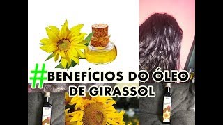 BENEFÍCIOS DO ÓLEO DE GIRASSOL PARA OS CABELOS NUTRIÇÃO PODEROSA [upl. by Francine]