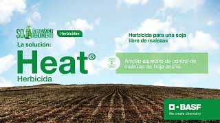 Heat®  BASF en tus cultivos [upl. by Nalo]