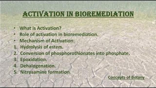 Activation in Bioremediation Mechanism of Bioremediation The Role of Activation in Bioremediation [upl. by Merrilee]