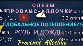 СЛЁЗЫ ПРОВАНСАЛЛОЧКИВСЁ КОТУ ПОД ХВОСТГЛОБАЛЬНОЕ ПОТЕПЛЕНИЕ [upl. by Ameg]