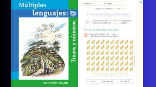 Múltiples lenguajes trazos y números página 31  32 │Cuenta de seis en seis [upl. by Allistir]