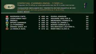 Carr6 Premio ESPECIAL CARMELINDA 03122024 [upl. by Hiram]