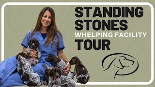 Standing Stone Kennels Puppy Whelping Facility Tour [upl. by Aid]