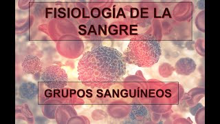 FISIOLOGÍA DE LA SANGRE GRUPOS SANGUÍNEOS [upl. by Ecydnak]