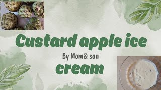 CUSTARD APPLE ICE CREAM [upl. by Lucinda]