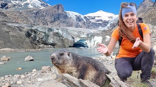 Gletschertrekking am Großglockner in Kärnten Der größte Gletscher in Österreich [upl. by Ynahpets7]