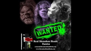 Shrunken Heads Book  McGinty  Oddities amp Curiosities [upl. by Araccot]