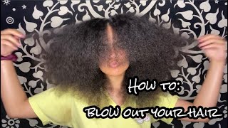 How to Prep Your Natural Hair for Box Braids Blow Out Routine [upl. by Aiek]