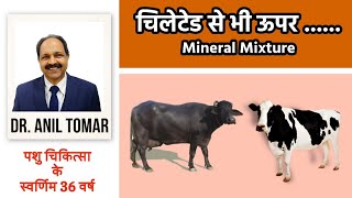 गायभैंस के लिए चिलेटेड से भी असरदार Mineral Mixture [upl. by Deny97]