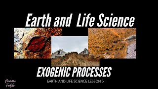 Exogenic Processes  Weathering Erosion and Deposition [upl. by Ardisi]