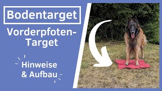 Hund Bodentarget beibringen I AufbauAnleitung Vorderpfoten Target Tipps amp Hinweise I Targettraining [upl. by Madelina964]