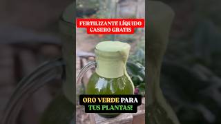 Oro Verde para tus Plantas 🦠 Fertilizante Casero GRATIS en 1 Min [upl. by Demb]