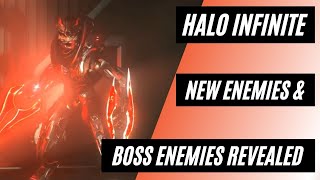 Halo Infinite  New Enemies and Boss Fights [upl. by Bradney]