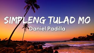 Daniel Padilla  Simpleng Tulad Mo Lyrics [upl. by Annaor474]