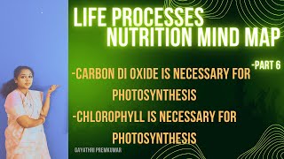 Life processesactivity lifeprocesses class10 biology cbse [upl. by Sharla]