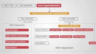 Diagnosing Hyponatremia A Comprehensive Algorithm [upl. by Tillman]