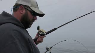 Spoon Stacking On Downriggers  Trolling Rod Set Up Big Lake Salmon Steelhead amp Lake Trout [upl. by Divadnahtanoj58]