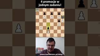 4 PROMOCJE w JEDNYM ZADANIU SZACHOWYM szachy szachmistrz chess szachmat kalisz [upl. by Timmy]