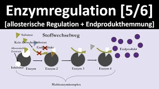 Allosterische Regulation  Endprodukthemmung  Enzymregulation 56  Biologie Oberstufe [upl. by Betz157]