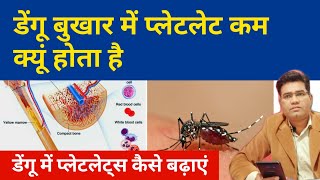 Why Does Platelets Decrease in Dengue fever and How to Increase Platelet count [upl. by Auohp]